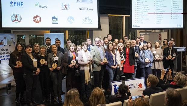 Ville « amie des animaux » : Fresnes veut renforcer son engagement