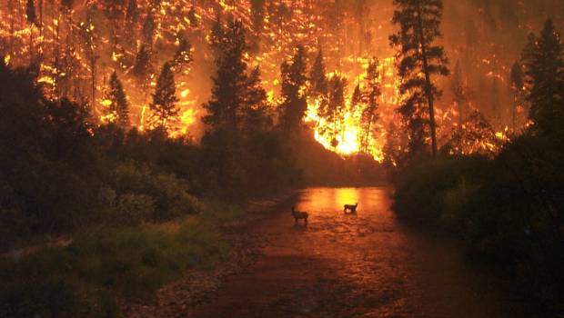 2023 : « année la plus chaude jamais enregistrée », proche du seuil des +1,5°C