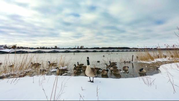 Le solaire flottant transparent pour l’environnement, selon une étude