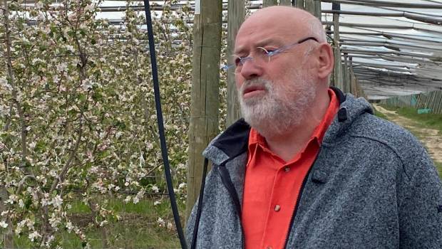 Tribune | « L’agriculture au chevet des abeilles »