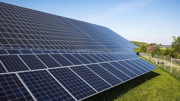 Deux démonstrateurs agrivoltaïques en germe en Nouvelle-Aquitaine