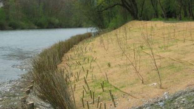 La chaire Oxalia élargit ses recherches au génie végétal
