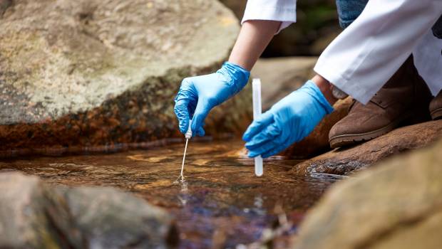 Pollution chimique et santé publique : la Fondation de l’Académie de Médecine dévoile son livre blanc