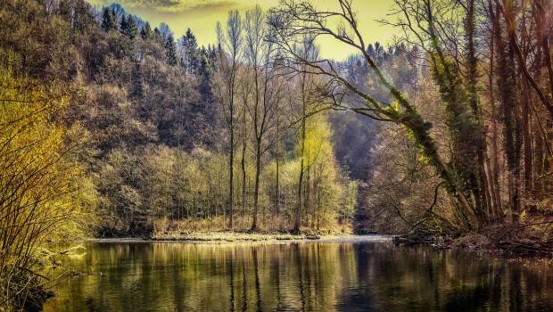Polluants éternels : Solvay soupçonnée de contaminer les eaux à Salindres
