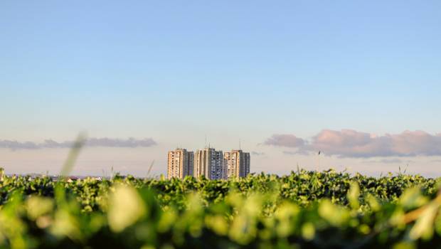 Devenez la capitale française de la biodiversité !