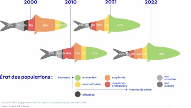 La pêche durable peine à s'imposer, note l'Ifremer