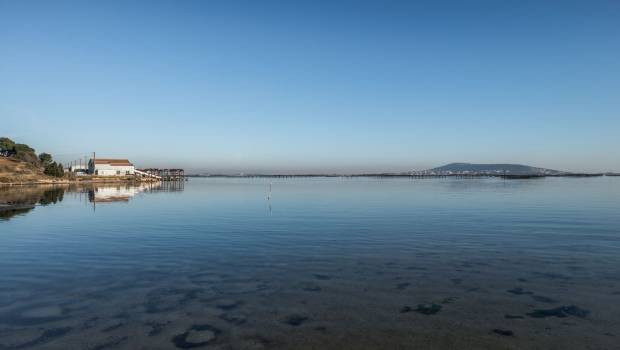 Dépollution : restaurer la lagune du Thau