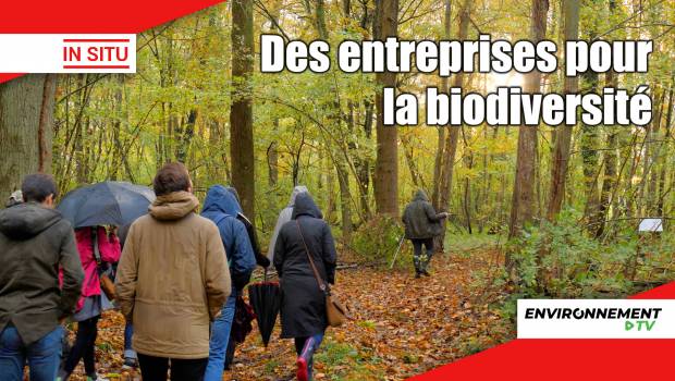 [Vidéo] Les entreprises s'engagent pour la biodiversité avec EcoTree