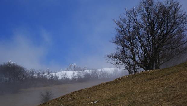 Changement climatique : un appel à projets pour développer de nouvelles activités dans la station de Valdrôme