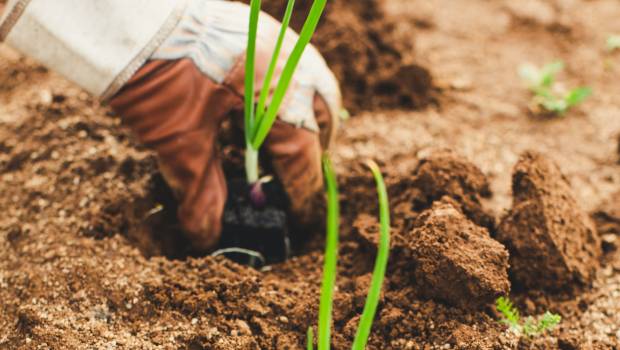 Transition agroécologique : la Banque des Territoires et Cartesia Éducation investissent dans la formation des agriculteurs