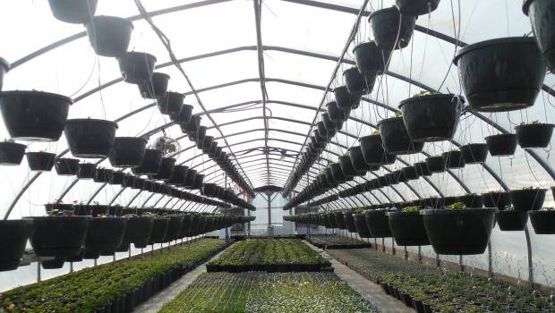 Création d'une première filière de recyclage volontaire des pots horticoles professionnels