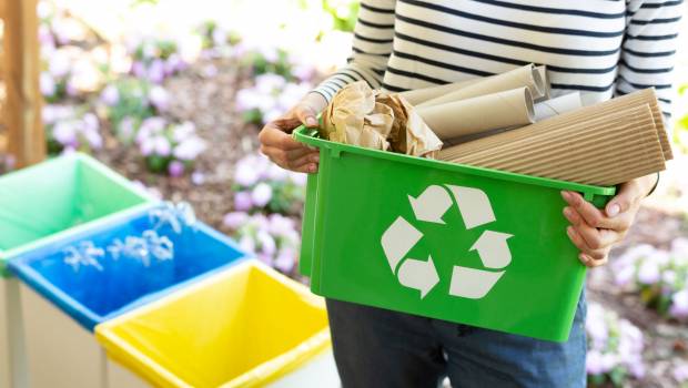 Journée mondiale du recyclage : Federec met les jeunes au cœur de son programme