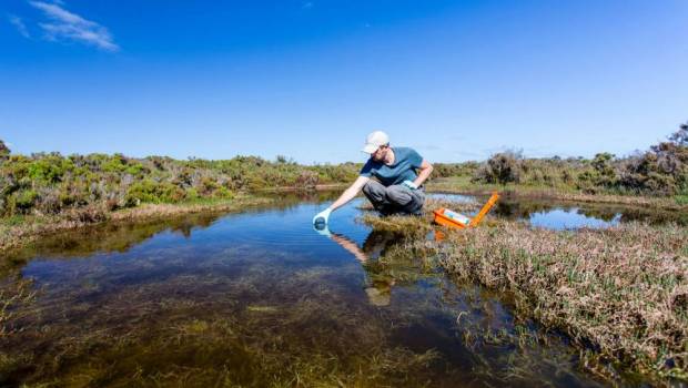 France 2030 : Lancement d'un programme de recherche dédié aux solutions fondées sur la nature