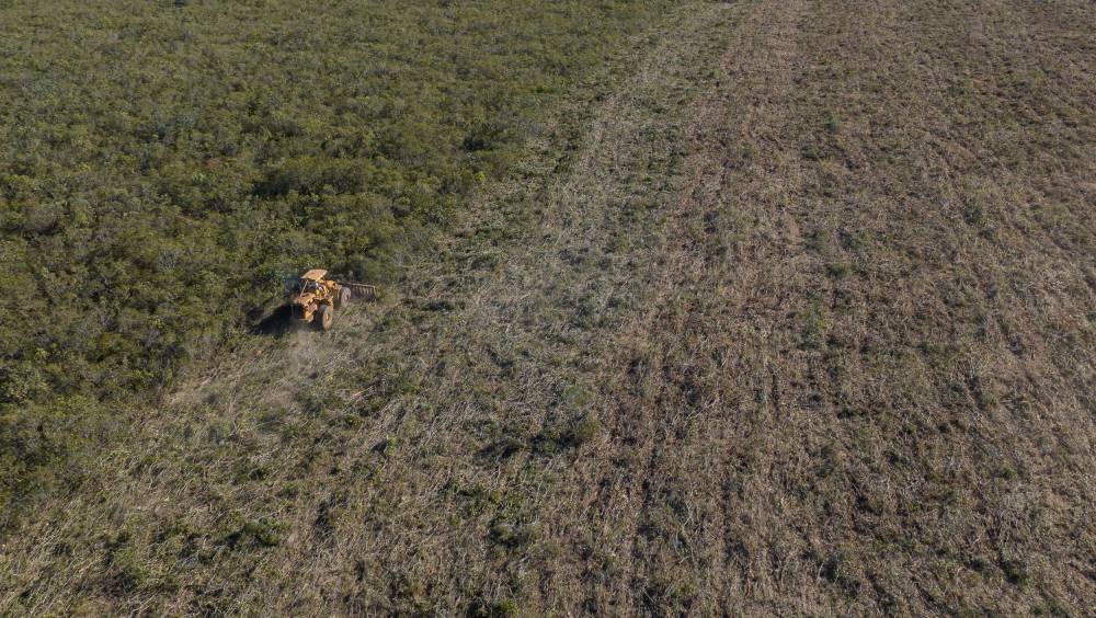 Zara et H&M liés à la destruction des forêts au Brésil