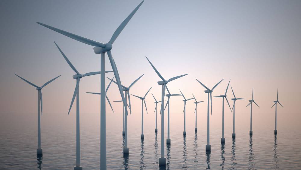 Taxe éolien en mer : l’association Bloom dénonce une emprise de la pêche industrielle