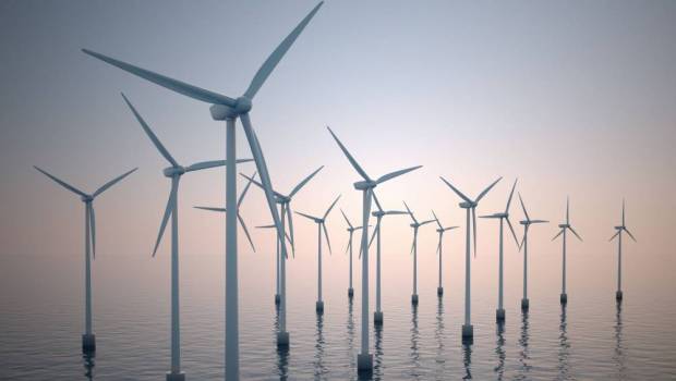 Taxe éolien en mer : l’association Bloom dénonce une emprise de la pêche industrielle