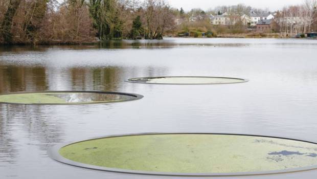 Visite guidée de jardins extraordinaires