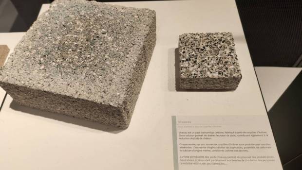 Eaux pluviales : coquilles d’huîtres se met en quatre