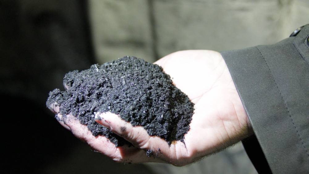 Suez compensera les émissions CO2 de Microsoft grâce au biochar