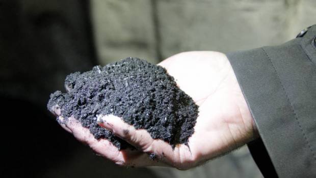 Suez compensera les émissions CO2 de Microsoft grâce au biochar