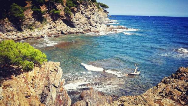 Les aires marines protégées bénéfiques à l'économie