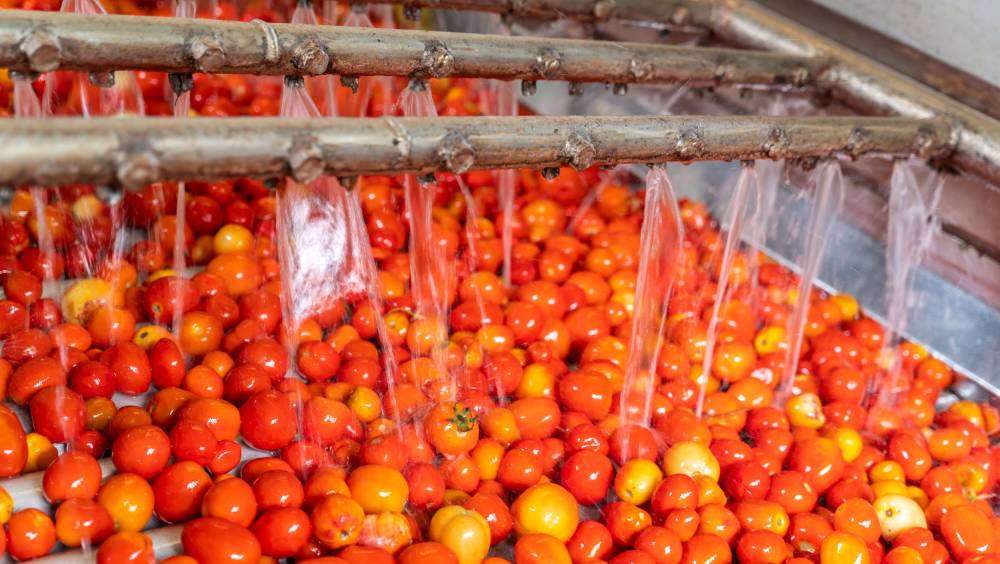Eaux recyclées dans l'agroalimentaire : le cadre est désormais « opérationnel  »