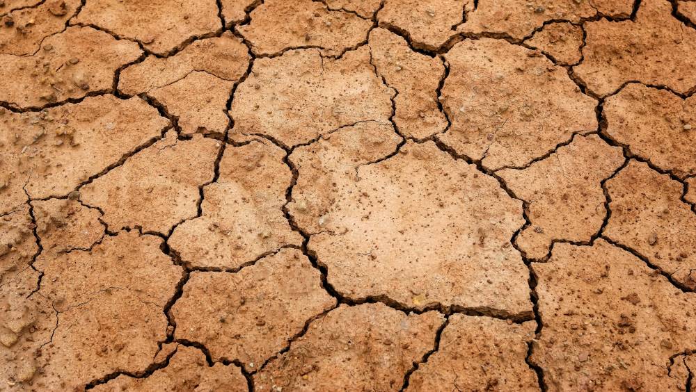 Un gel pour traiter les sols contre les effets de la sécheresse