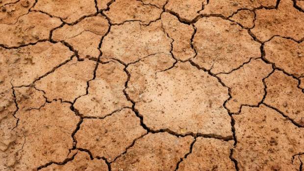 Un gel pour traiter les sols contre les effets de la sécheresse