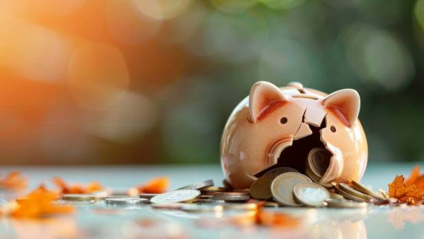 Budget 2025 : les portefeuilles de l’écologie menacés