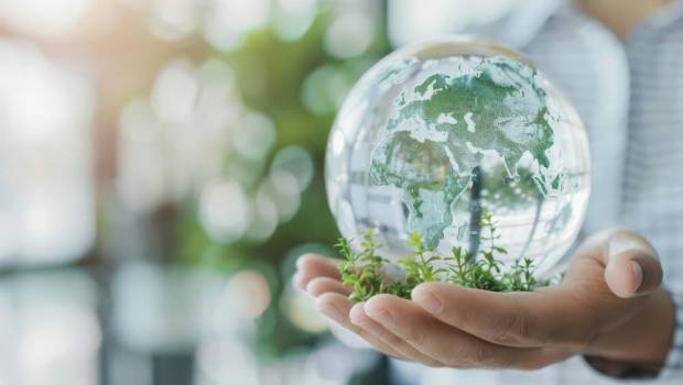 Biodiversité : Syntec-Ingénierie signe un partenariat avec le Muséum National d’Histoire Naturelle