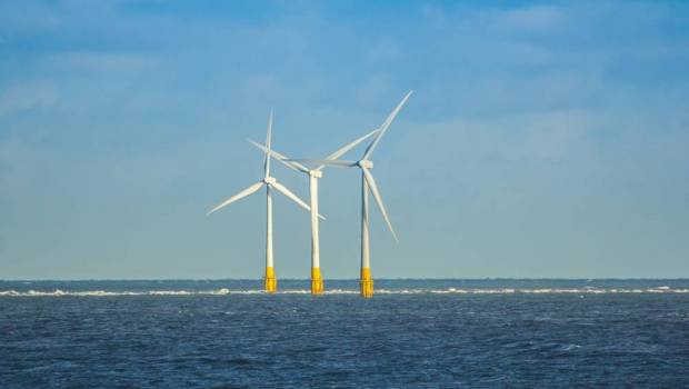 Eolien en mer et biodiversité :  la française Cosma récompensée par RWE