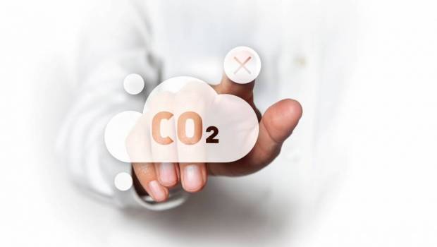 Tribune | « Décarboner son entreprise sans investissement : un levier pour accélérer la transition énergétique !  »