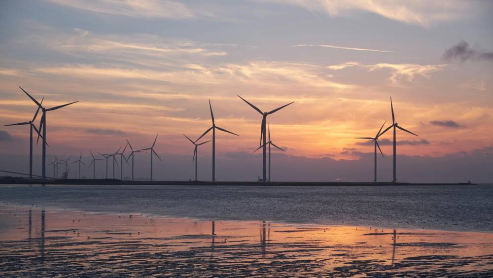 Zebox et Action Logement s'allient pour l'action climatique en Outre-mer