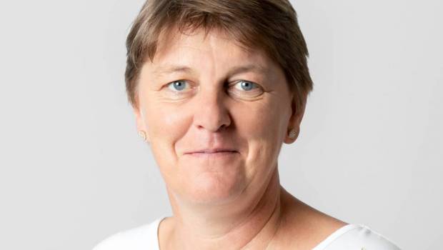 Jeanne-Marie Gouiffes : « Le Cerema accompagne les ports dans les nouvelles formes de propulsion hydrogène »