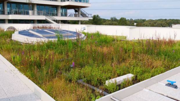 Soprema et Aquatiris : un partenariat durable