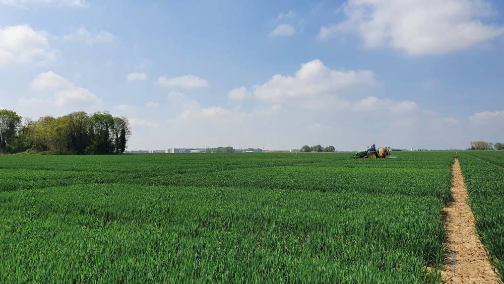 Valoriser l’urine aux champs : un défrichage actif