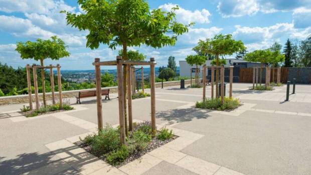 La belle progression de NGE Paysages