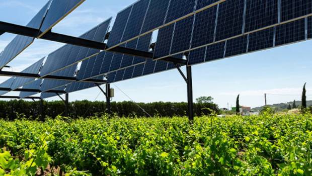 Le groupe Volta et Richel Group main dans la main pour l'énergie renouvelable et l'agriculture durable