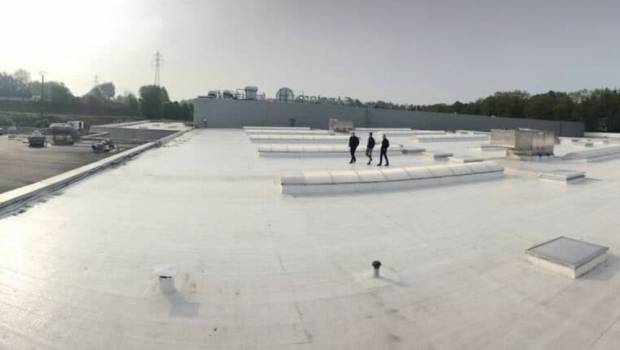 Refroidir la planète… avec des coquilles d’huîtres