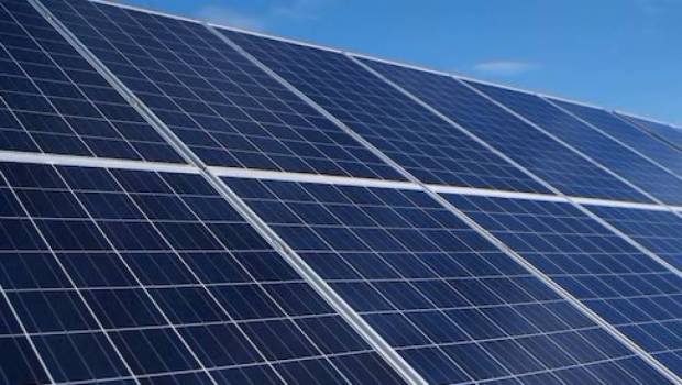 Vaucluse : quand la solidarité paye