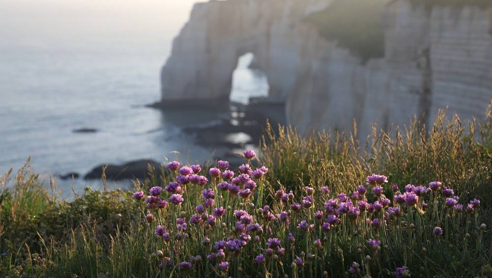 Changement climatique : 1 md€ pour adapter les territoires