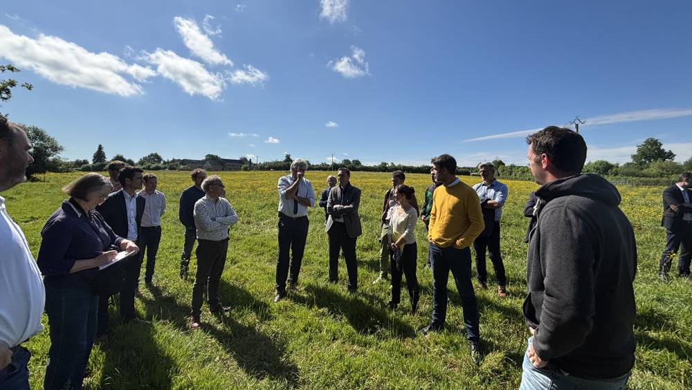 Le réseau de chaleur Mans Nord Enr'gie alimente les projets Carbocage et Carbonagri