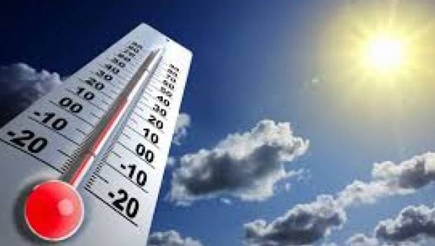 Canicule : l’isolation, un levier stratégique encore sous-exploité