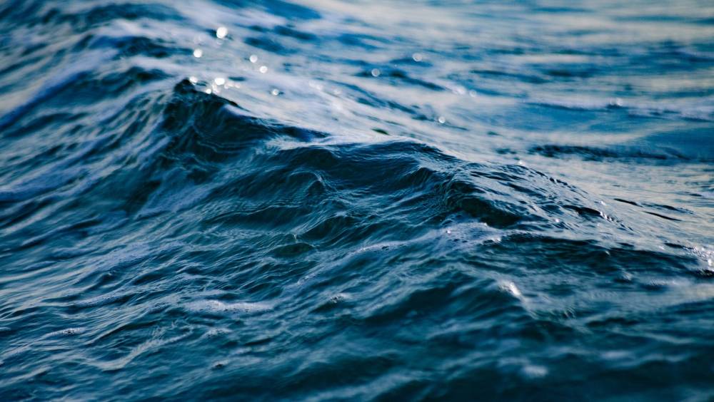 Protection de l’océan : l’Unesco étend ses programmes éducatifs