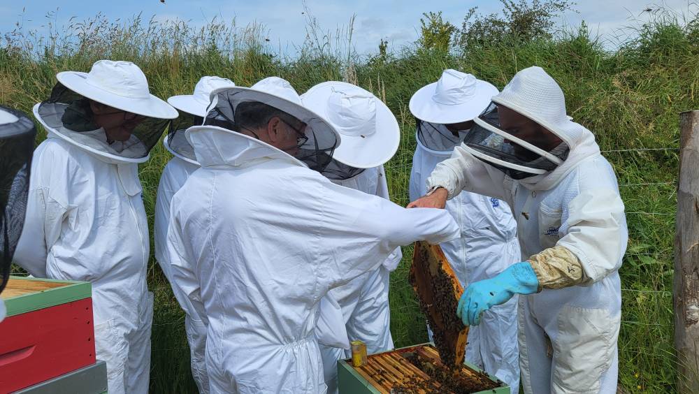 L'Unicem encourage l'installation de ruches en carrière
