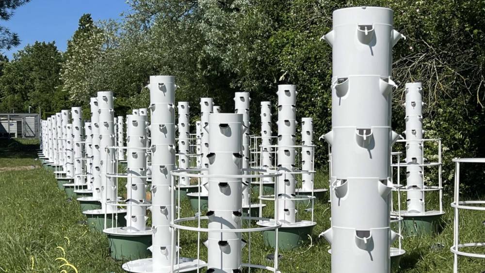 UltraEdge et Les Fermes Ionaka : quand les data centers cultivent le futur urbain