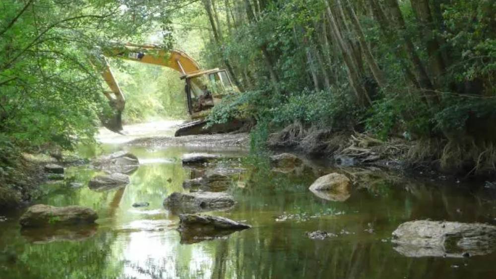 Que prévoit la feuille de route  Ingénierie et génie écologiques  d'ici à 2030 ?