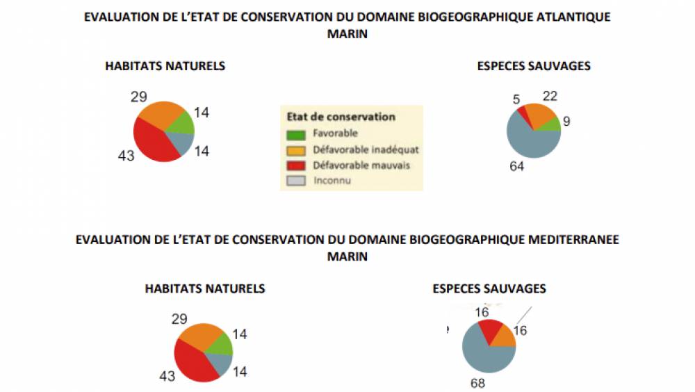 Bretagne Vivante milite pour des EMR respectueuses de la biodiversité