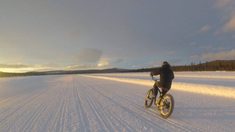 Gorille Cycles redessine le vélo électrique français