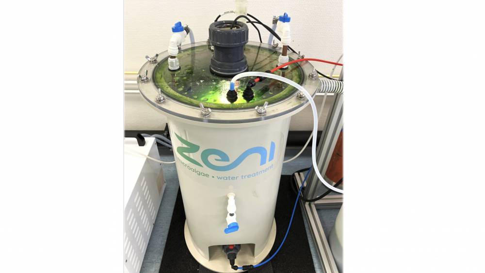 Pollutec | Zeni, la deeptech qui mise sur les microalgues pour traiter les rejets industriels